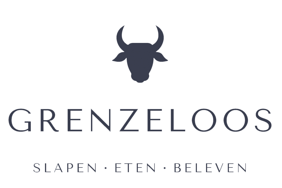 Logo-Grenzeloos-blauw-zonder-achtergrond-2